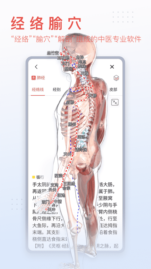 3Dbody解剖-APP