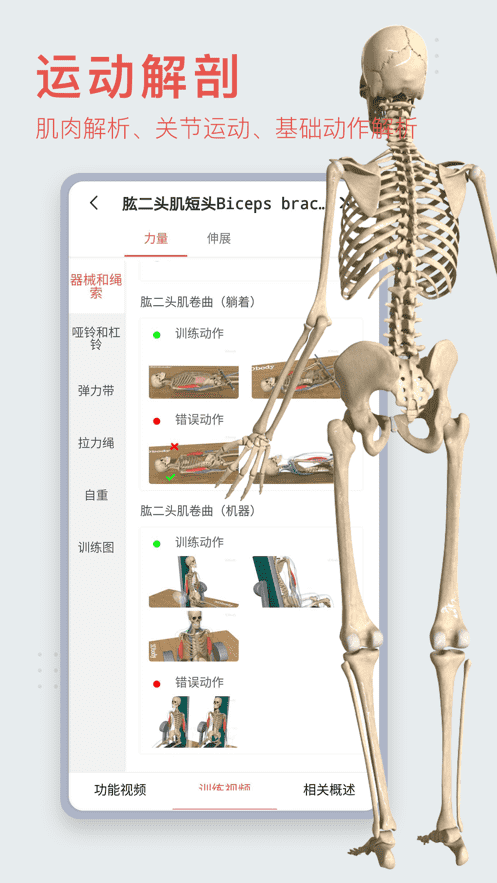 3Dbody解剖-APP