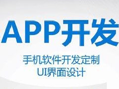 APP软件开发工具-PWA